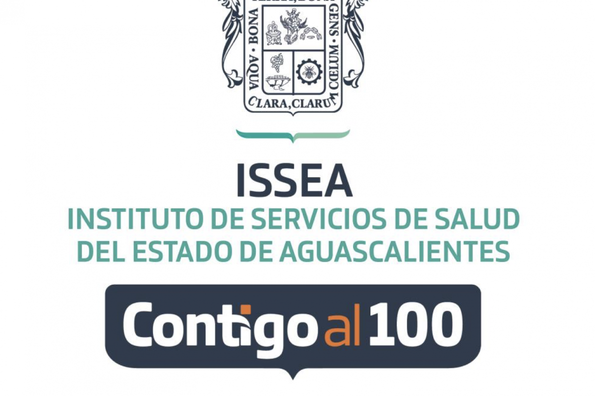 Paga ISSEA a personal sin el perfil adecuado | BI Noticias